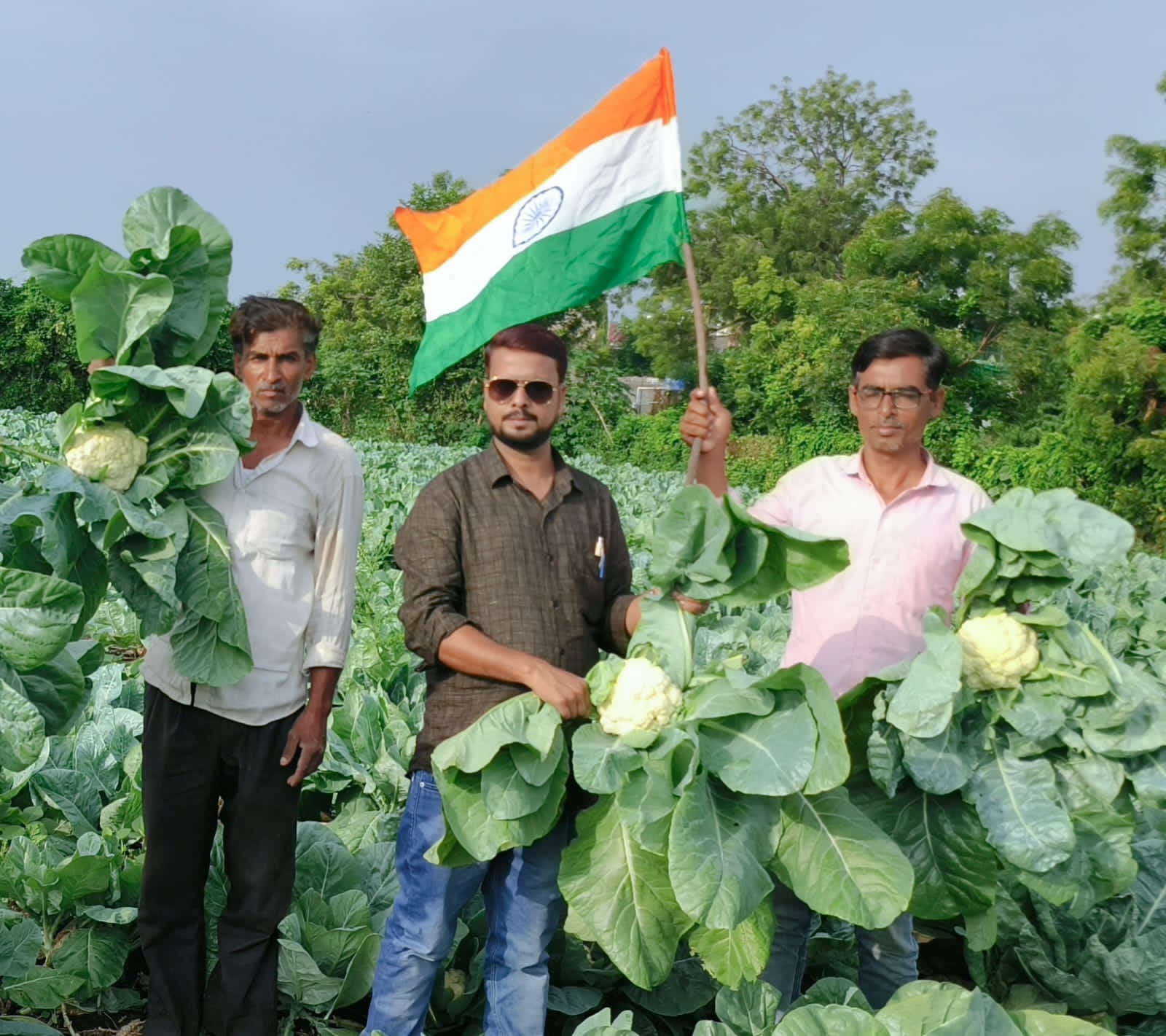 Nalanda Agro Seeds farm